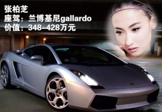 BST xe hoi hang sang va nha tien ty cua Truong Ba Chi hinh anh