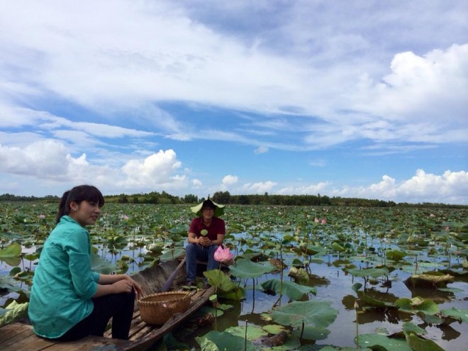 Hòa Hiệp thì tỏ tình bâng quơ: “Hái búp sen tặng nàng, có biết nàng yêu mình không ta?”. Với hình ảnh anh chàng đội lá sen có chút “không bình thường” như thế này, chắc hẳn các cô gái chỉ dám nhận sen và không dám nhận tình cảm.