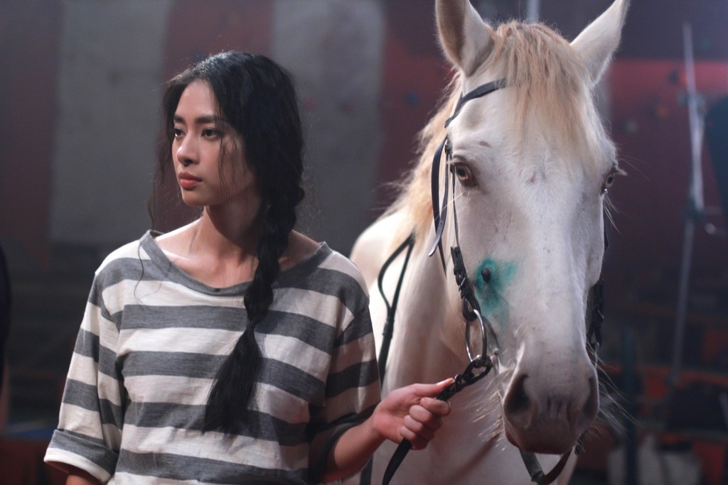 Ngo Thanh Van di dep tong, lam xiec voi ngua hinh anh