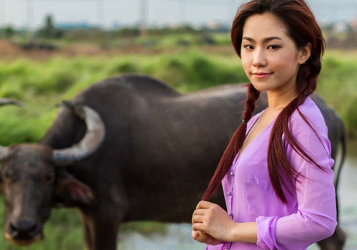 Sao Viet hoa gai que la lam trong MV hinh anh