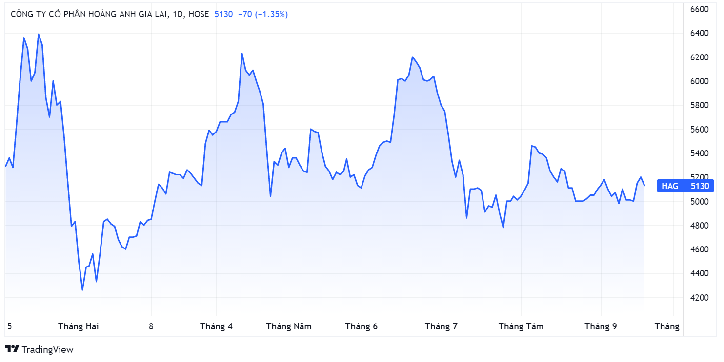 Bau Duc,  con gai bau Duc,  ba Doan Hoang Anh anh 1