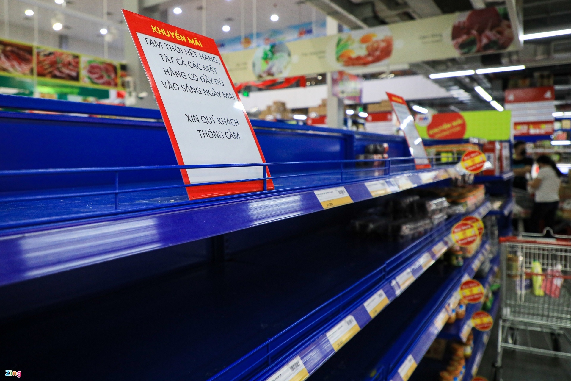 Kenh ban le hien dai,  Cac chuoi sieu thi phia Nam,  Nhu cau mua sam tich tru dot bien anh 2