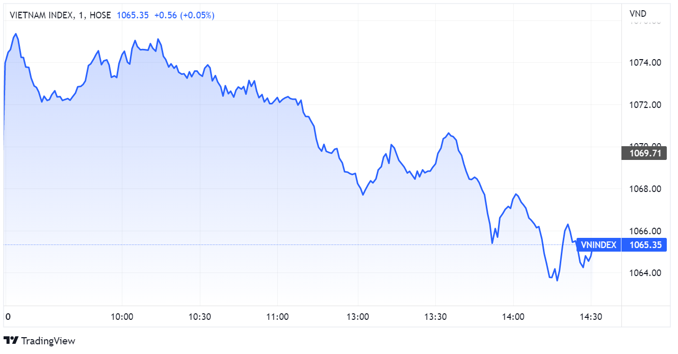 chung khoan,  dau tu,  VN-Index anh 2