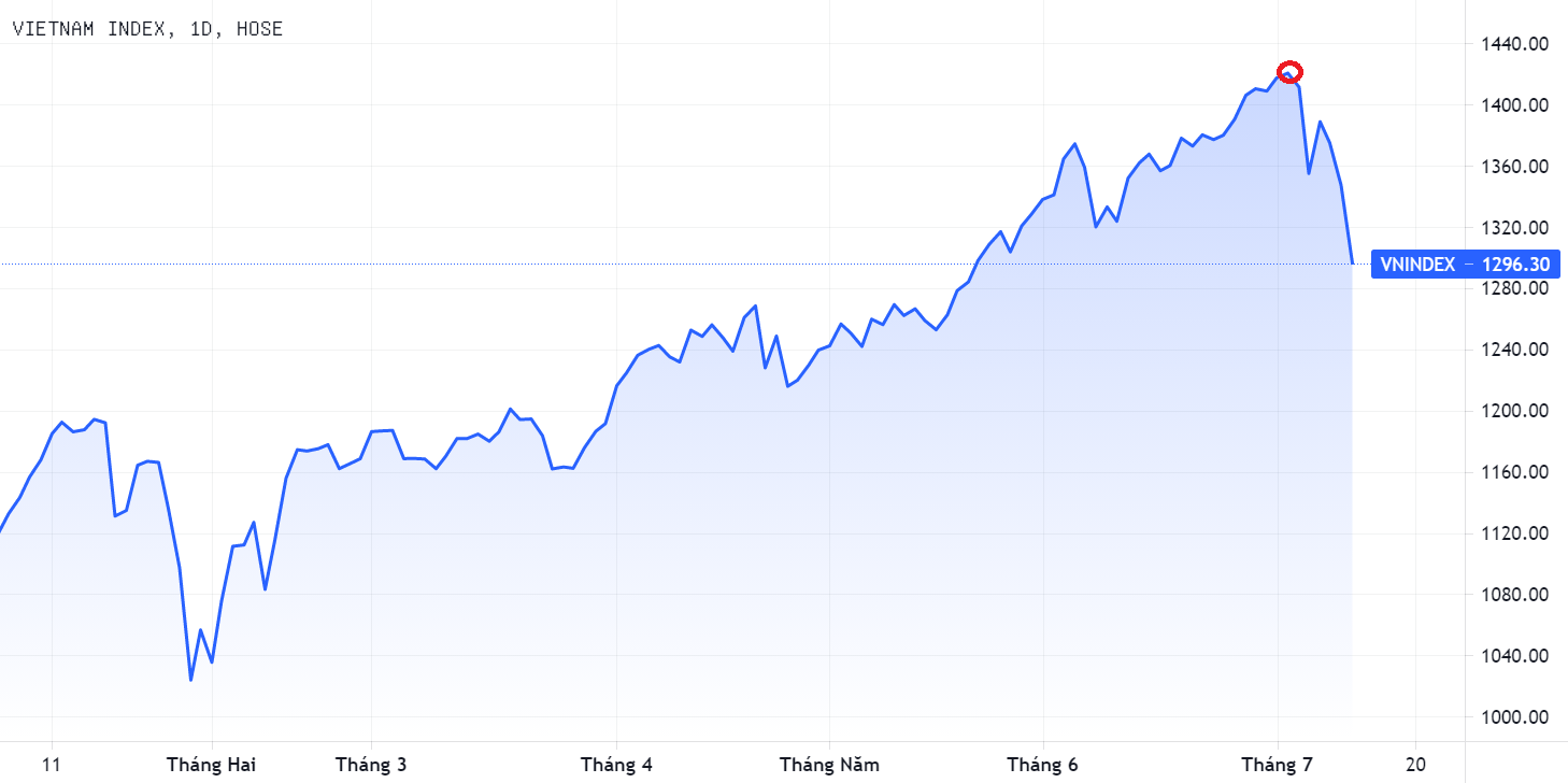 Chung khoan lao doc,  VN-Index mat 124 diem,  Gia tri von hoa san chung khoan anh 1
