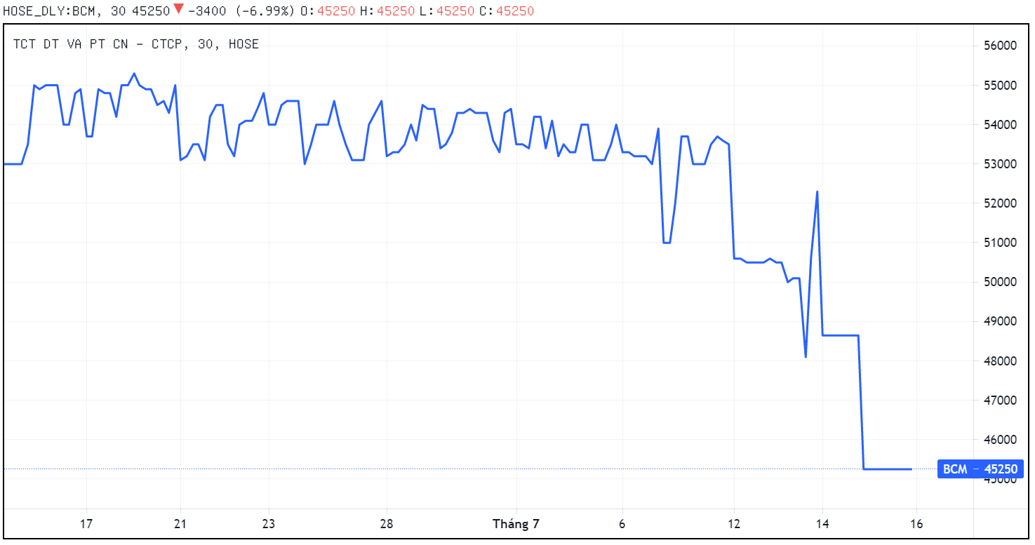 Tong cong ty Becamex,  Co phieu BCM lao doc,  Gia tri von hoa Becamex anh 1