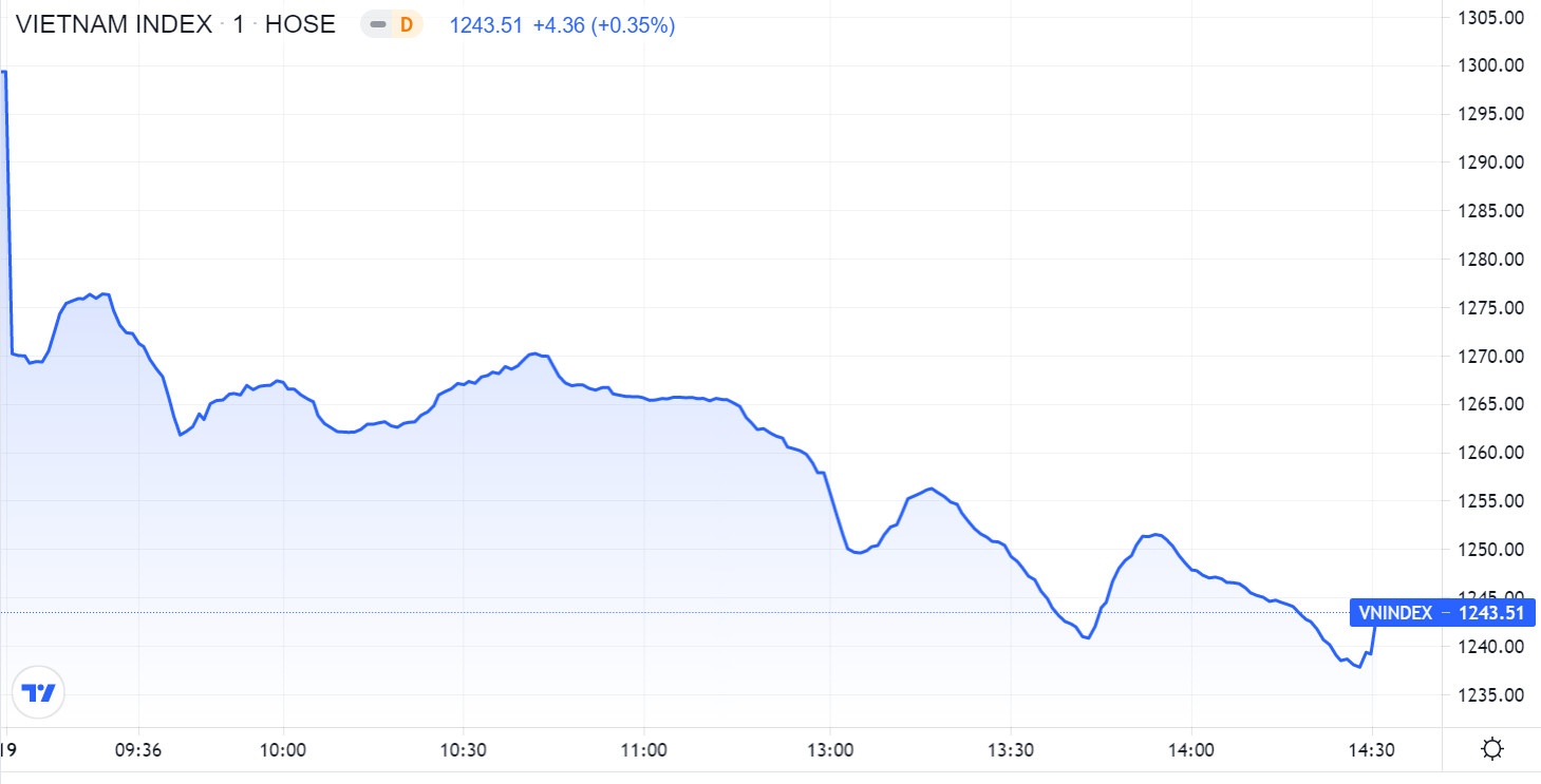 Dien bien TTCK,  Co phieu MWG lao doc,  Co phieu chu so huu Bach Hoa Xanh anh 1