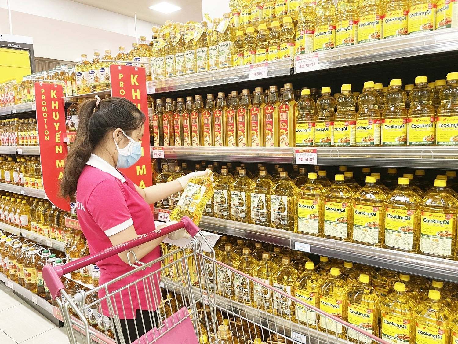 Kido lai lon mang dau an hinh anh