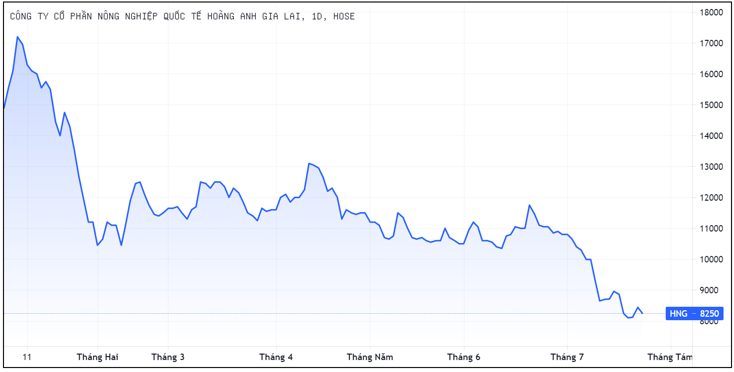 HAGL Agrico,  Ty phu Tran Ba Duong,  Thagrico dung dau tu vao HNG anh 1