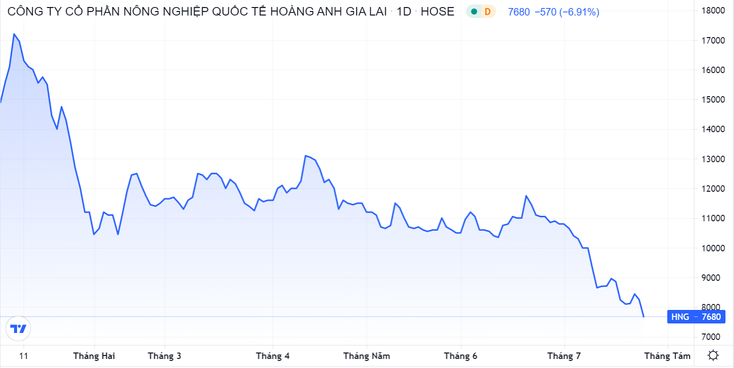 Dien bien VN-Index,  Ban san co phieu HNG,  Bien dong tai HAGL Agrico anh 1