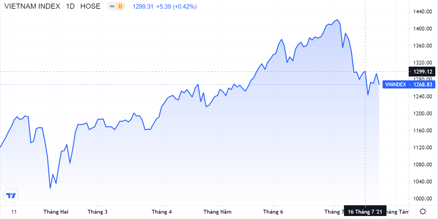 Du bao chung khoan,  Dien bien VN-index,  Ca nhan giai ngan mua chung khoan, anh 1