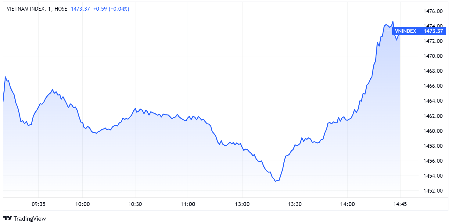 Co phieu tang tran,  chung khoan ngay 12/11,  chung khoan dao chieu nhanh anh 1