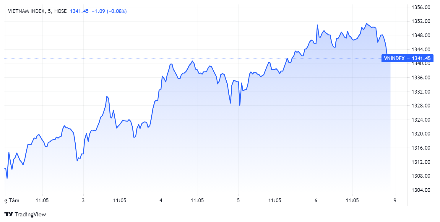 Chung khoan tuan qua,  Du bao chung khoan,  Dien bien VN-Index anh 1