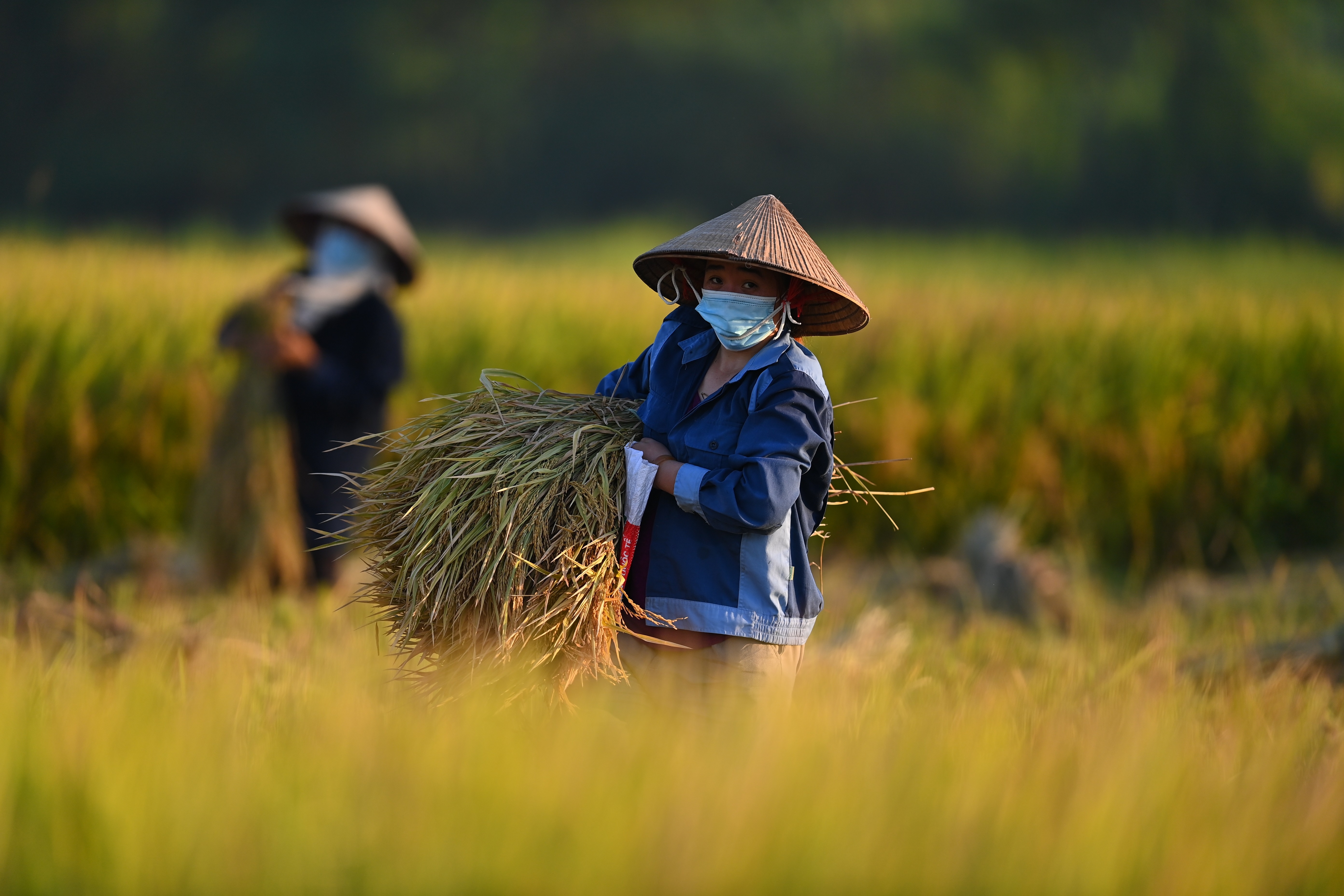 Dai gia 8X thau tom nhieu cong ty tren san chung khoan hinh anh