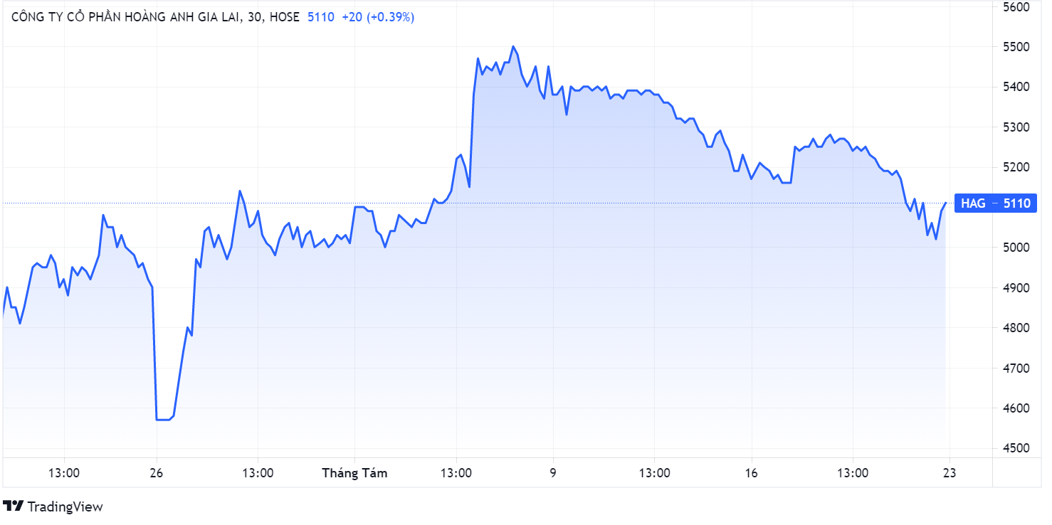 Con gai bau Duc,  Ba Doan Hoang Anh,  ca phe ong Bau anh 1