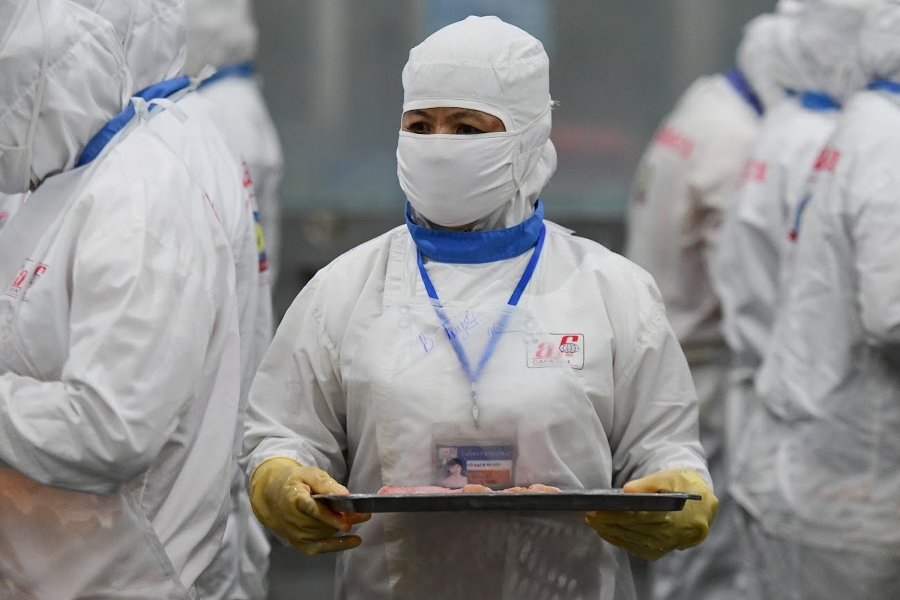 Do gay chuoi san xuat,  Doanh nghiep xuat khau,  Donah nghiep tom ca anh 1