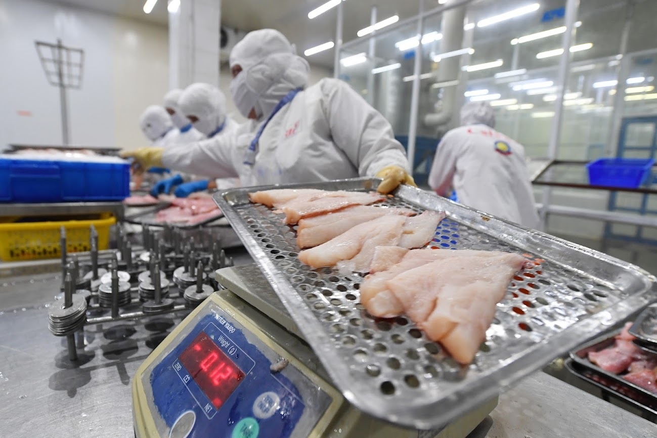 Vasep: Nguy co gay do chuoi san xuat thuy san ngay truoc mat hinh anh