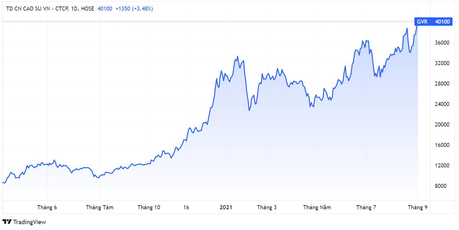 Von hoa san HoSE,  cong ty gia tri nhat,  Co phieu nganh cao su anh 1