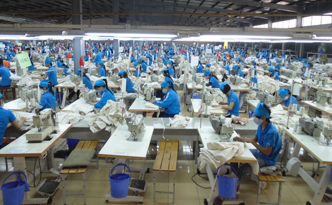 Doanh thu cua TNG tiep tuc sut giam hinh anh