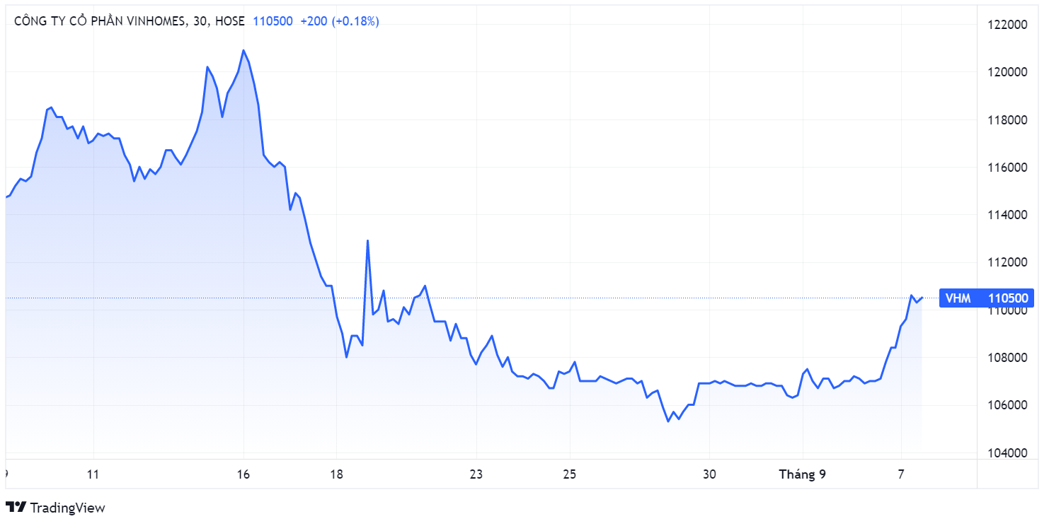Vinhomes,  Tap doan Vingroup,  Vingroup ban co phan VHM anh 1