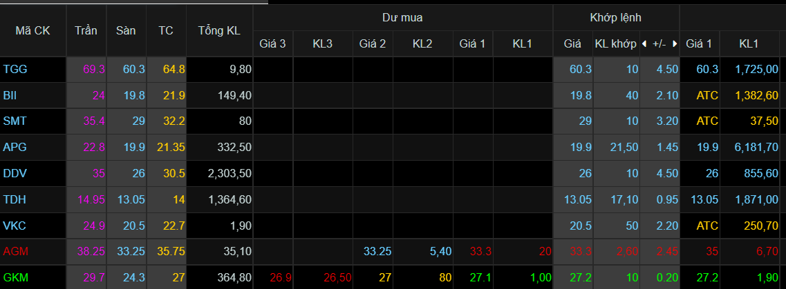 Thi truong chung khoan,  chung khoan lao doc,  co phieu ho Louis anh 2