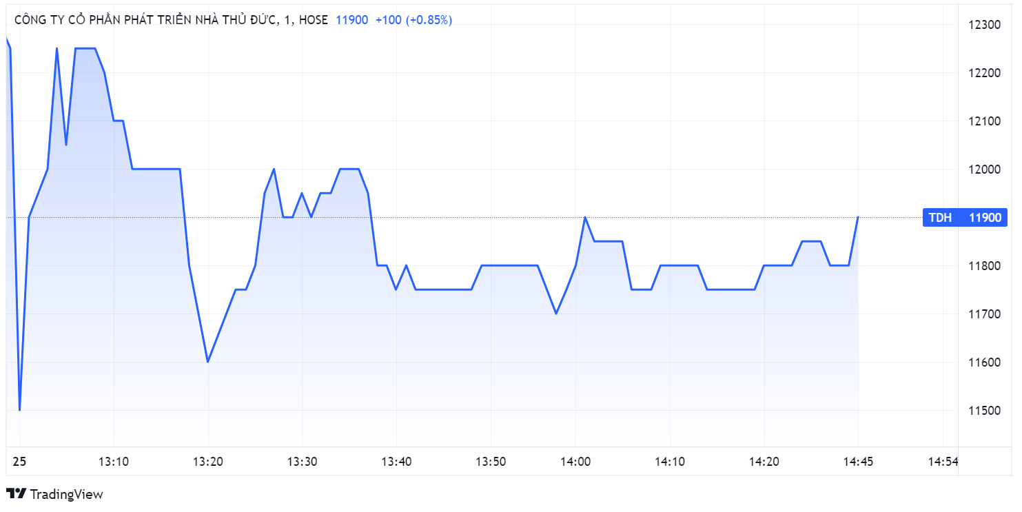 Dien bien vu Thuduc House,  co phieu TDH,  chuyen tien ra nuoc ngoai trai phep anh 1