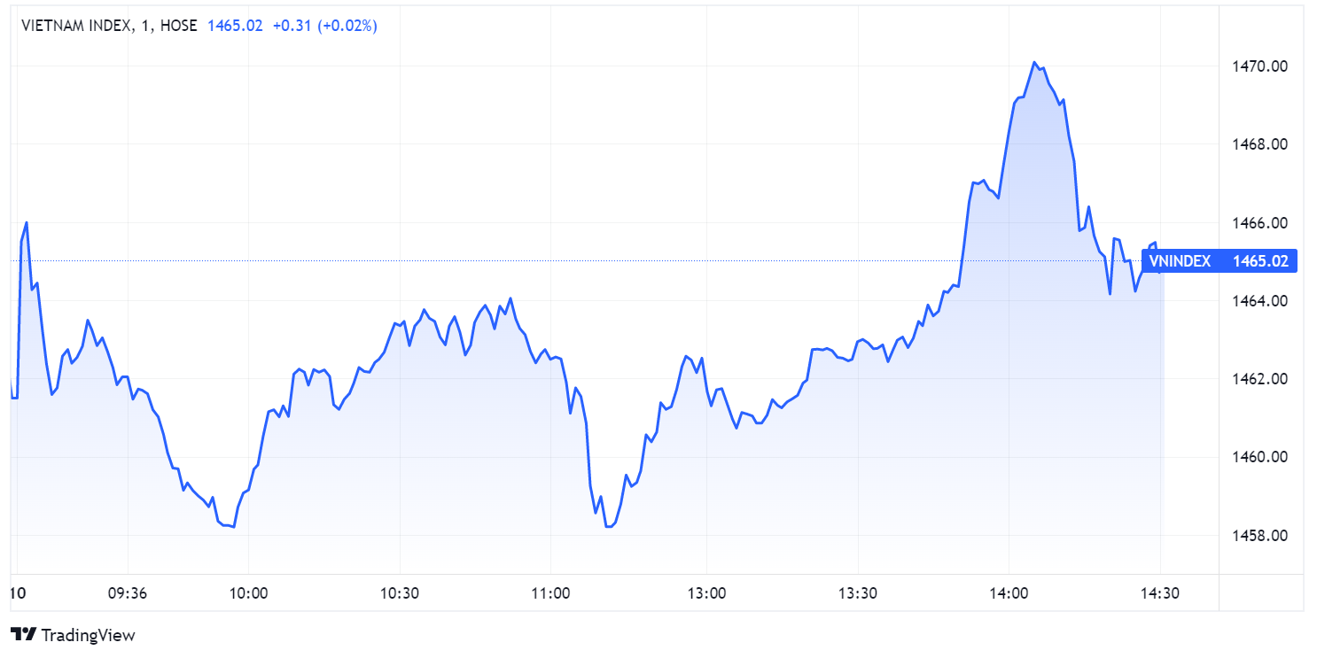 Co phieu Duoc pham Vimedimex,  Ba Nguyen Thi Loan,  Chung khoan Hoa Binh anh 2