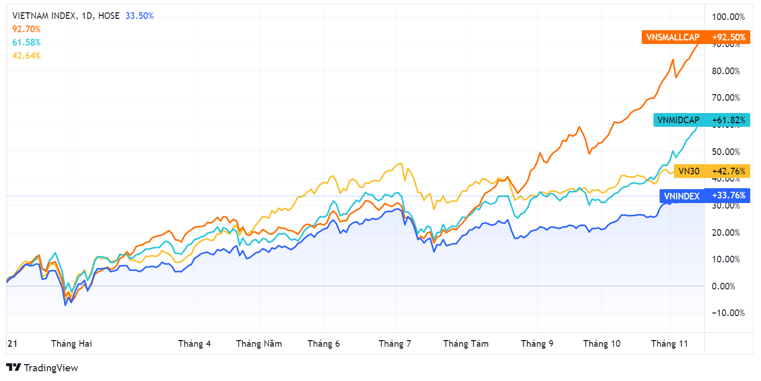 Co phieu tang bang lan,  cong ty kinh doanh bet bat,  dong tien dau co,  co phieu nho anh 1