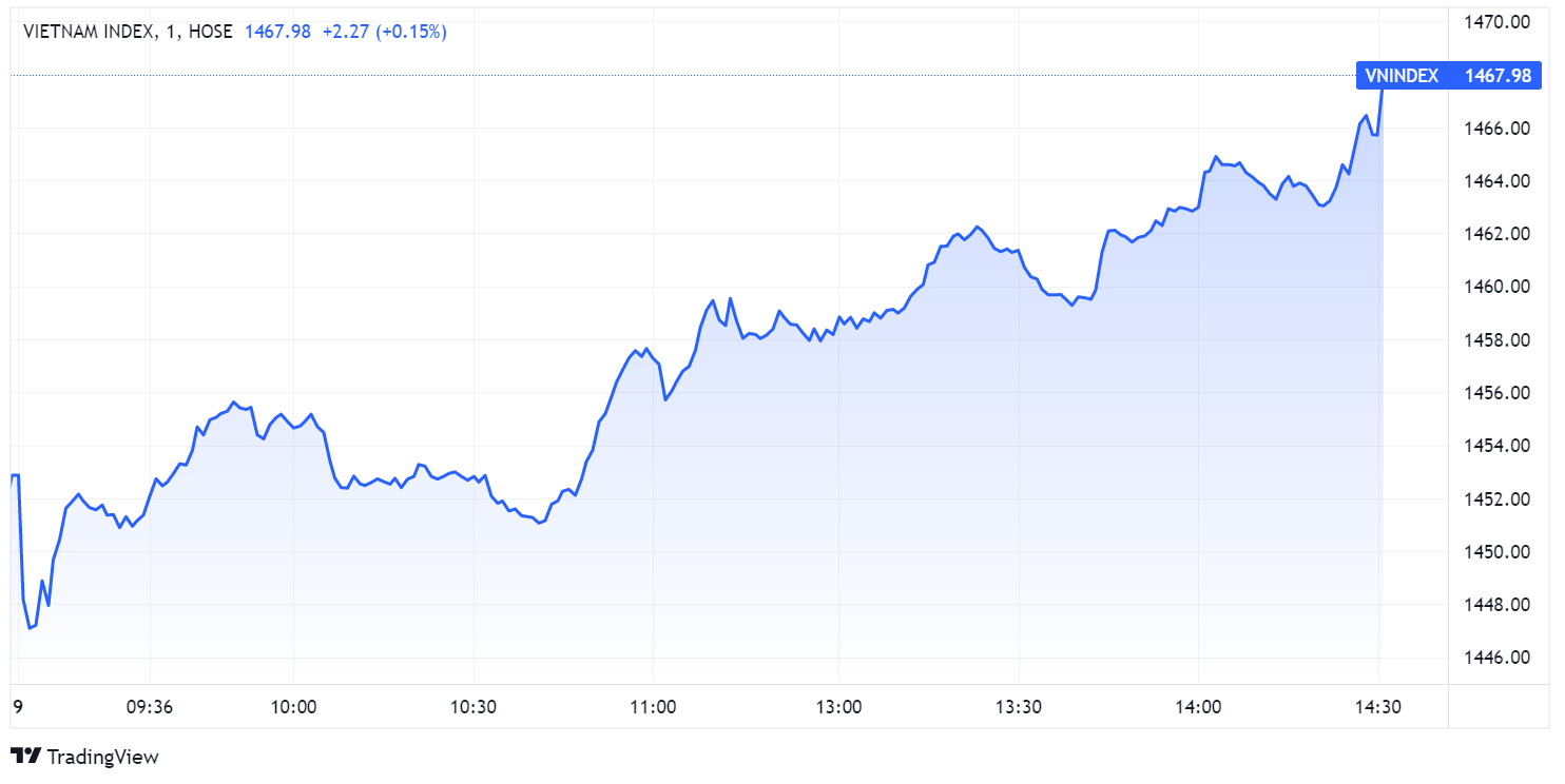 chung khoan tang diem,  chung khoan ngay 9/12,  co phieu HAG anh 1
