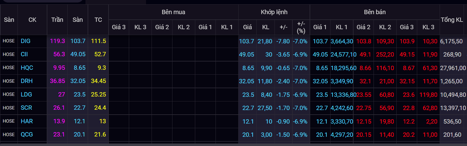 chung khoan ngay 13/1,  chung khoan giam diem,  co phieu ho FLC,  co phieu bat dong san anh 2