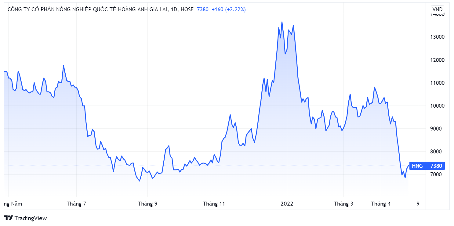 Bau Duc,  HAGL Agrico,  co phieu HNG anh 1