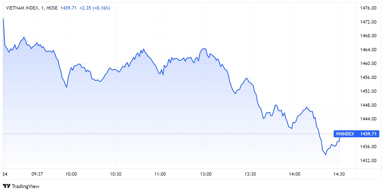 chung khoan ngay 24/1,  chung khoan giam diem,  do san anh 2