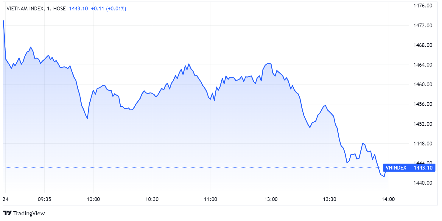 chung khoan ngay 24/1,  chung khoan giam diem,  do san anh 1