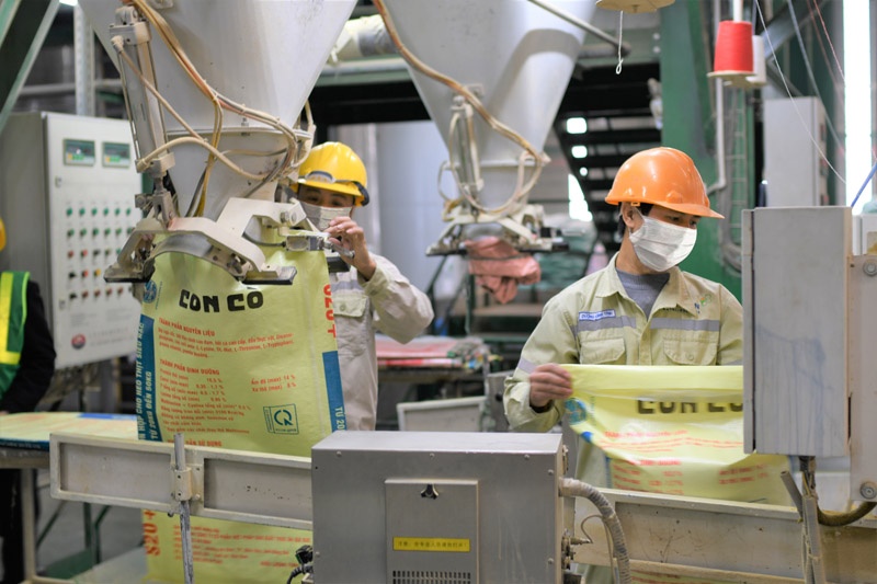 Thu 1.226 ty dong co tuc tu Proconco hinh anh