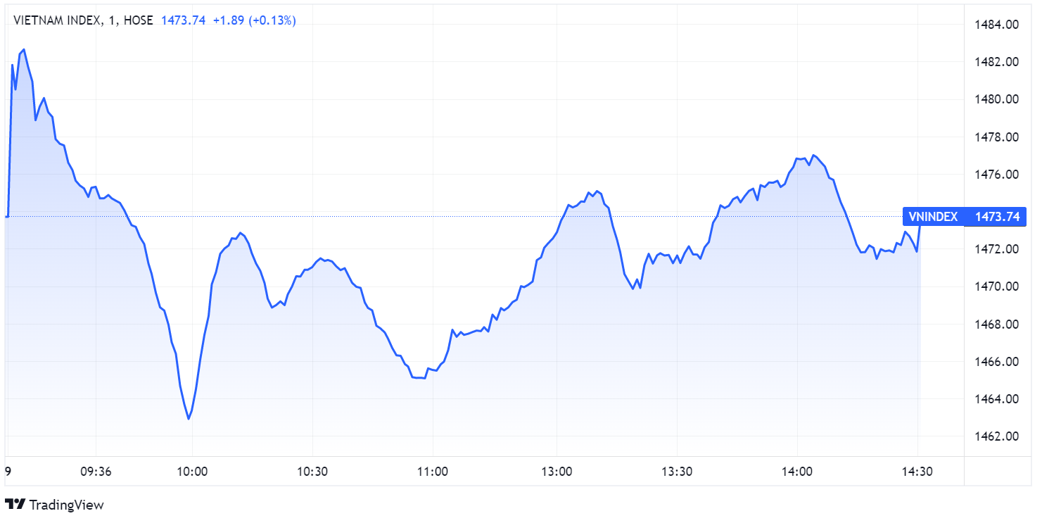 chung khoan ngay 9/3,  co phieu hang hoa,  giam diem,  giang co anh 1