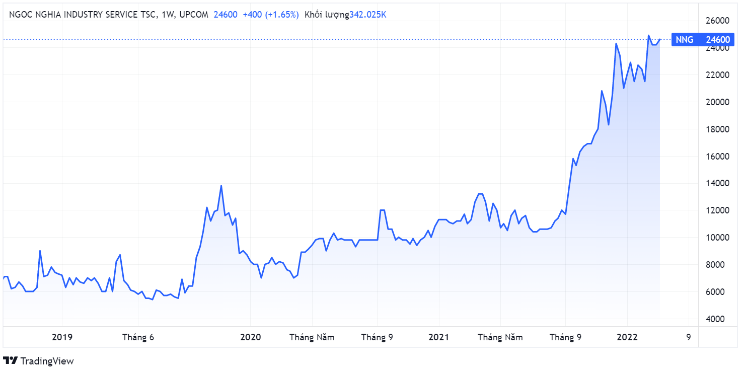 Nhua Ngoc Nghia,  VinaCapital,  thoai von,  sinh loi anh 1