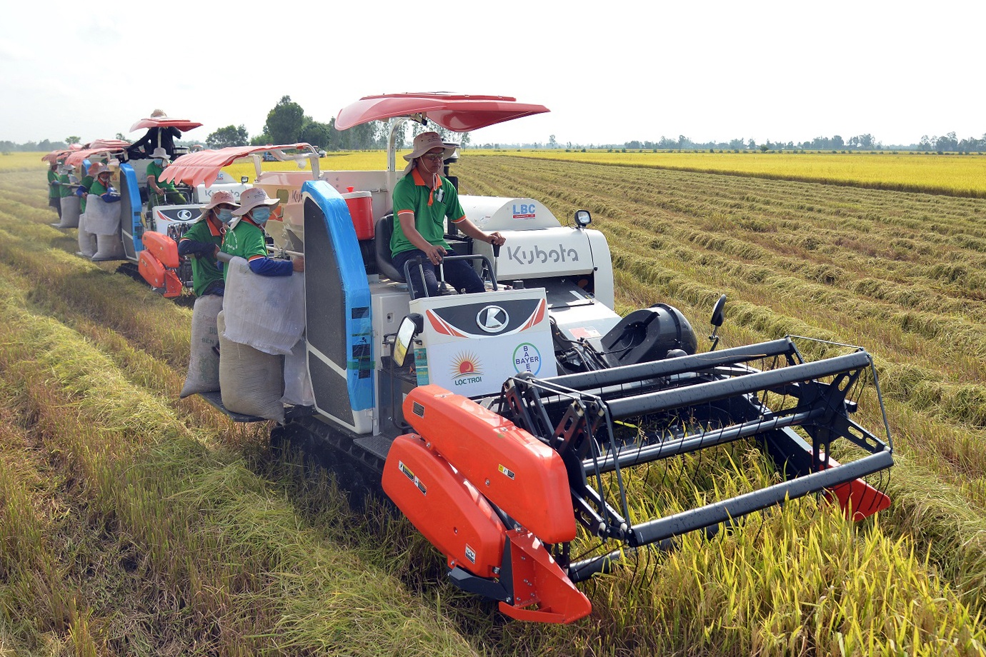 Loc Troi tinh mua bao hiem cho nong dan hinh anh