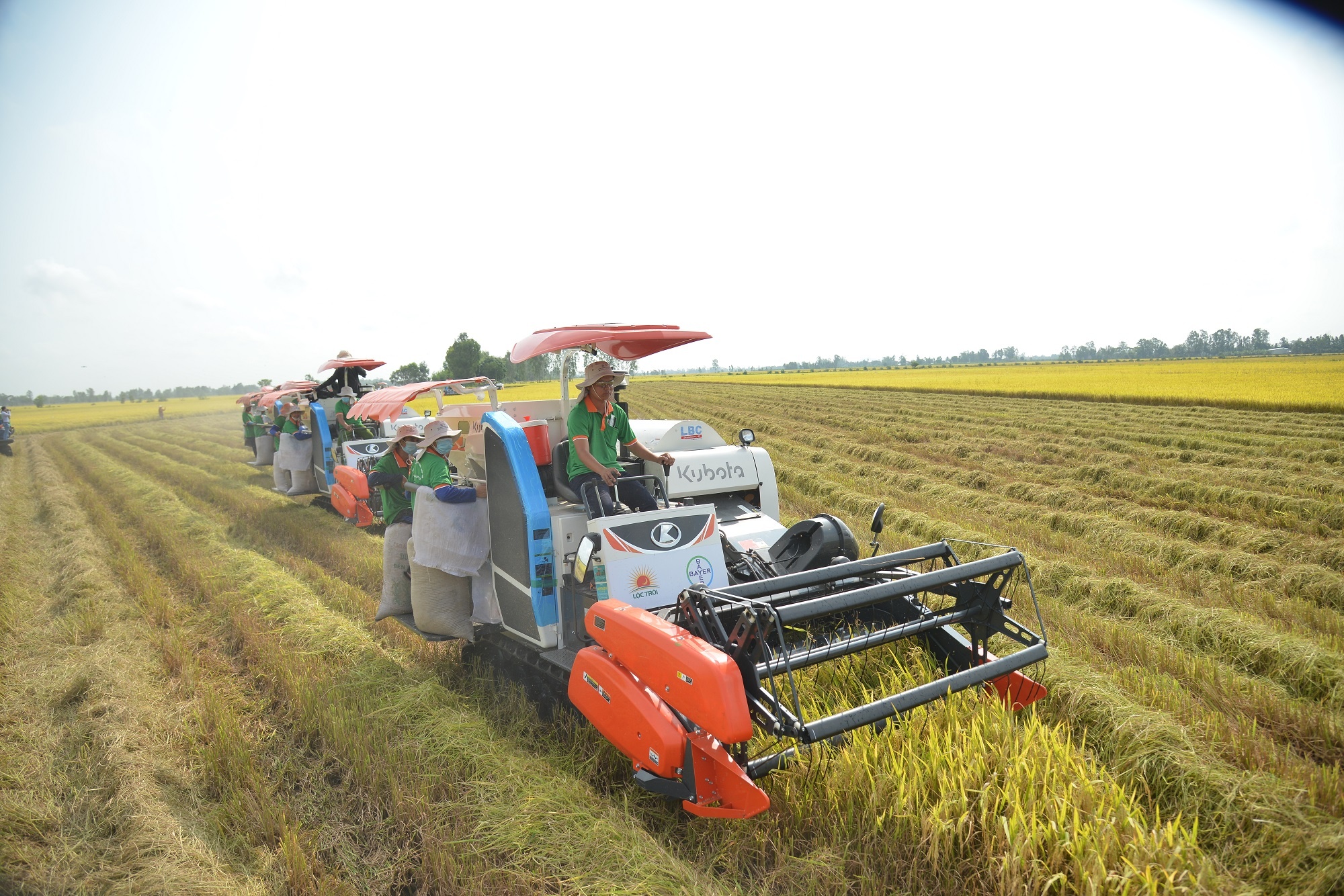 Loc Troi no tien mua lua cua nong dan hinh anh