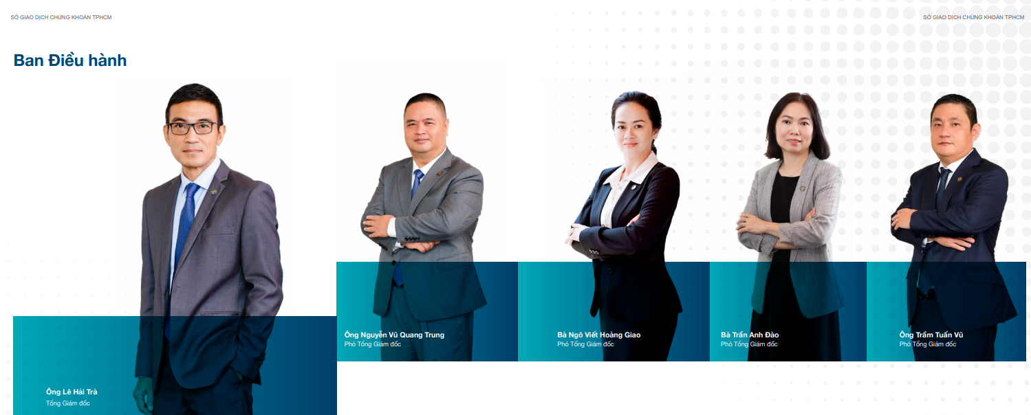 Le Hai Tra,  thoi viec,  xu phat,  vi pham anh 1