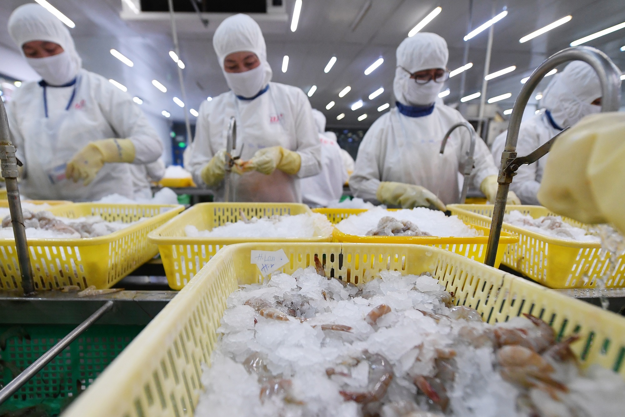 Loat cong ty ca, tom bao lai dot bien hinh anh