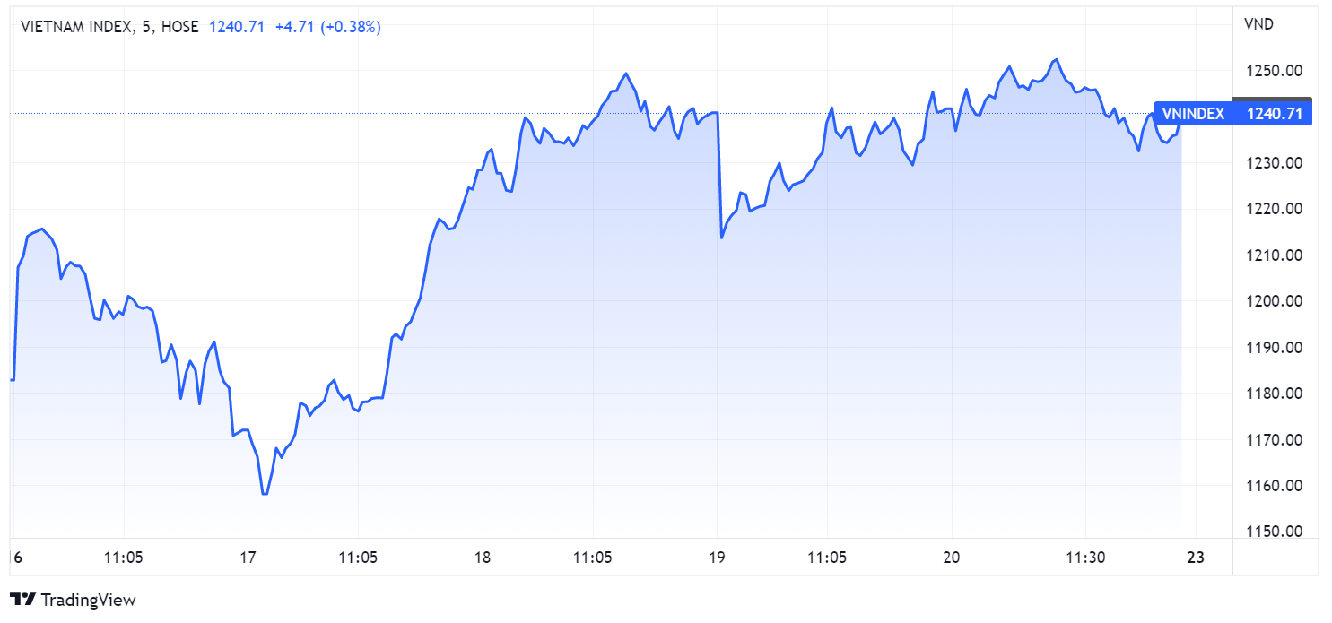 du bao chung khoan,  hoi phuc,  than trong,  bull trap anh 1