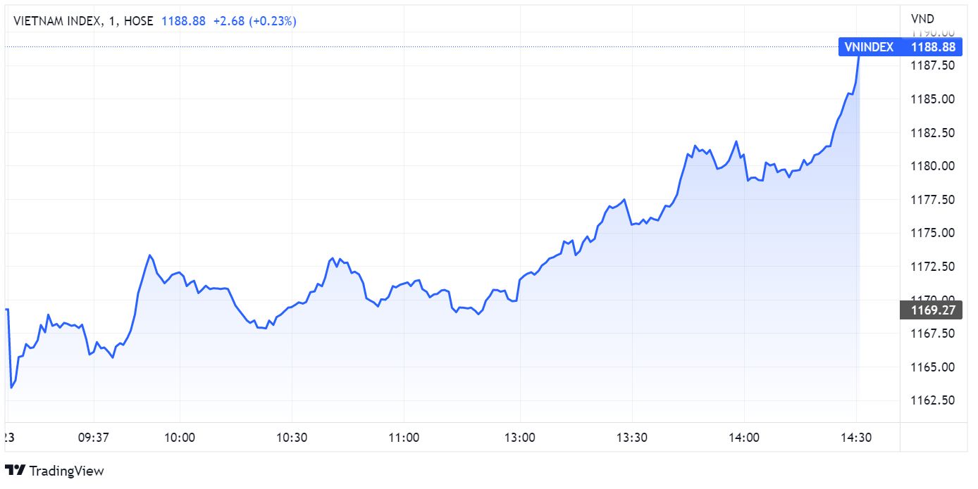 chung khoan ngay 23/6,  co phieu nang luong,  dao chieu anh 1