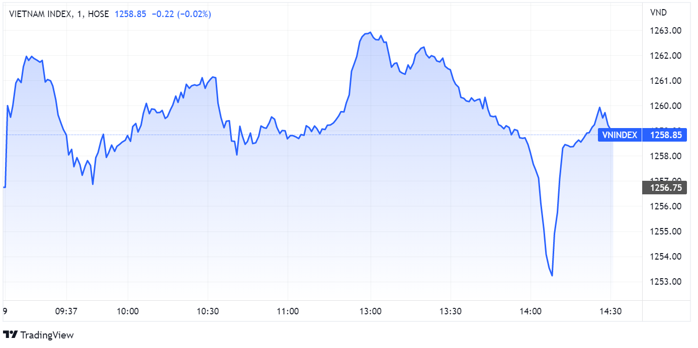 chung khoan ngay 9/8,  co phieu HPG,  co phieu dau co anh 1
