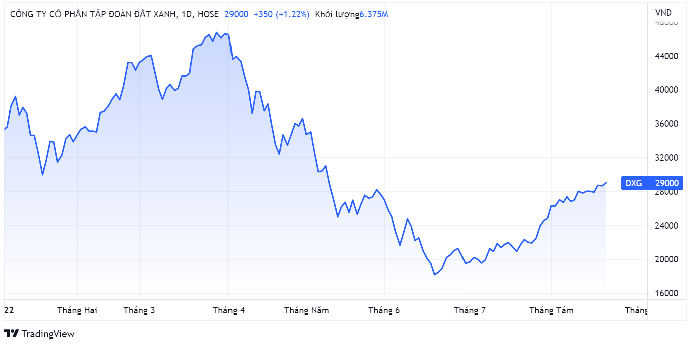 Dat Xanh,  Ong Luong Tri Thin,  mua co phan anh 1