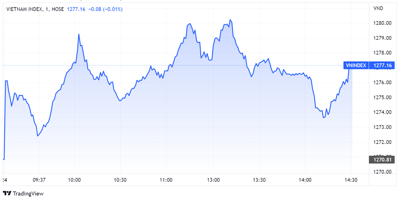 chung khoan ngay 24/8,  co phieu luong thuc,  tang diem anh 1