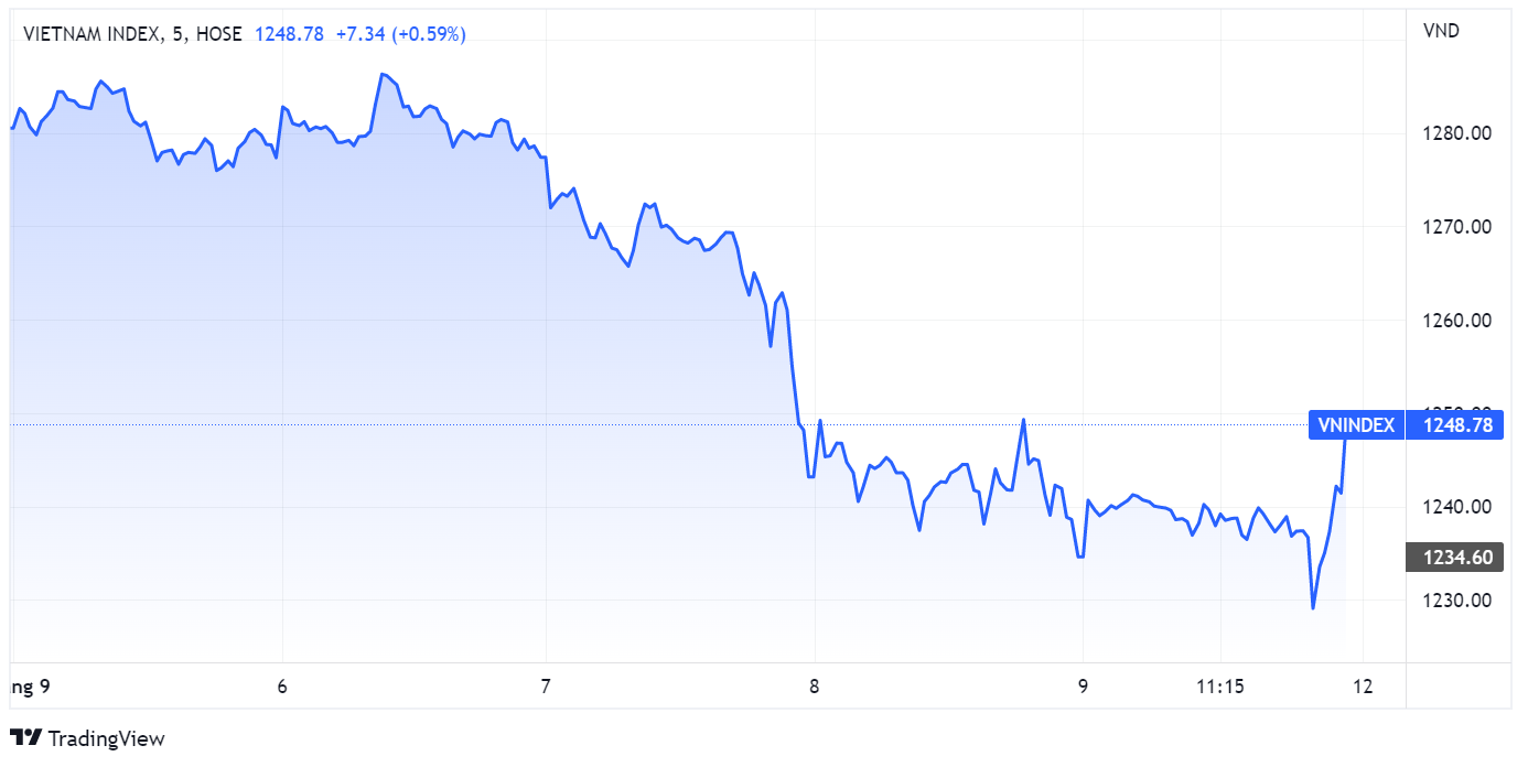 chung khoan,  du bao,  lo le anh 1