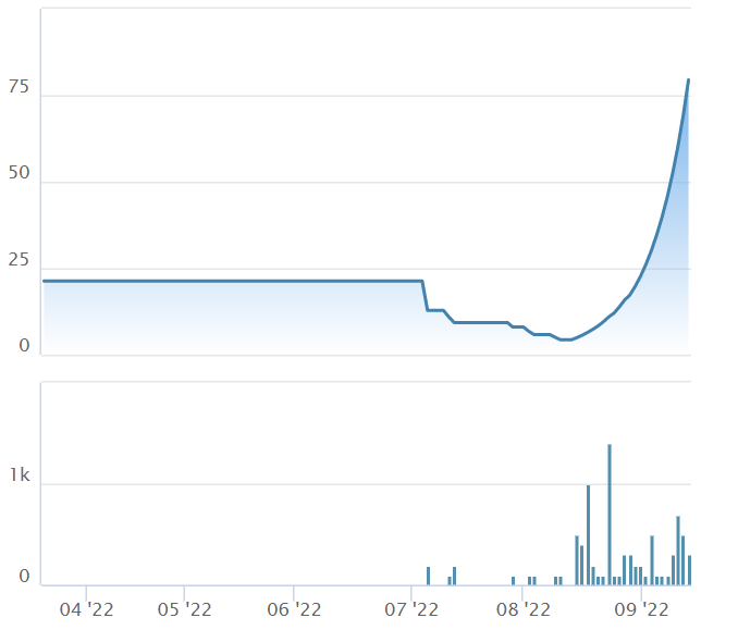 co phieu,  chung khoan,  CFV anh 1