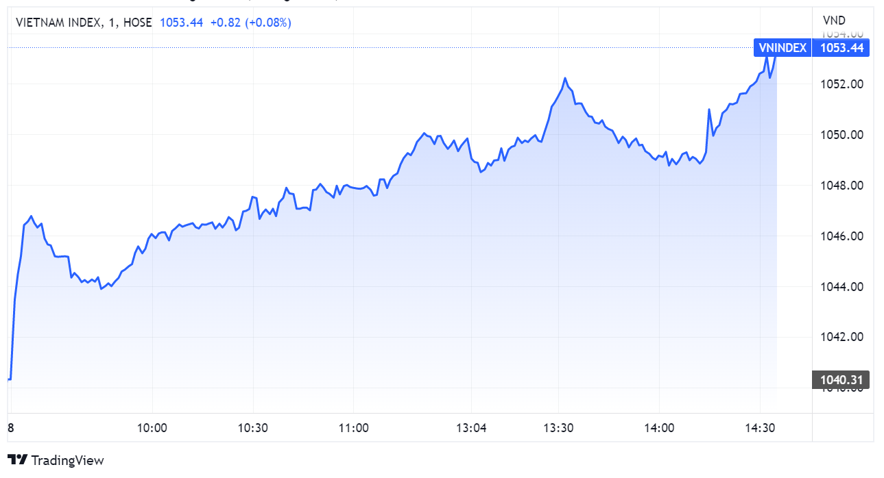 chung khoan,  VN-Index,  co phieu anh 1