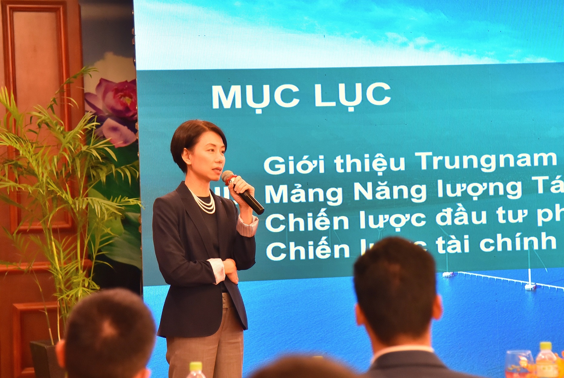 nang luong tai tao,  Trung Nam,  kinh doanh anh 1