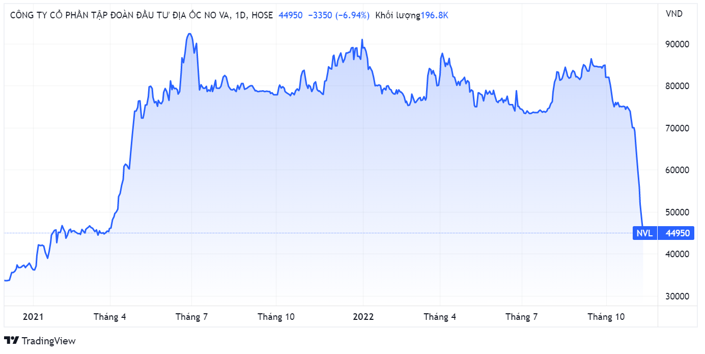 bat dong san,  Novaland,  co phieu anh 1