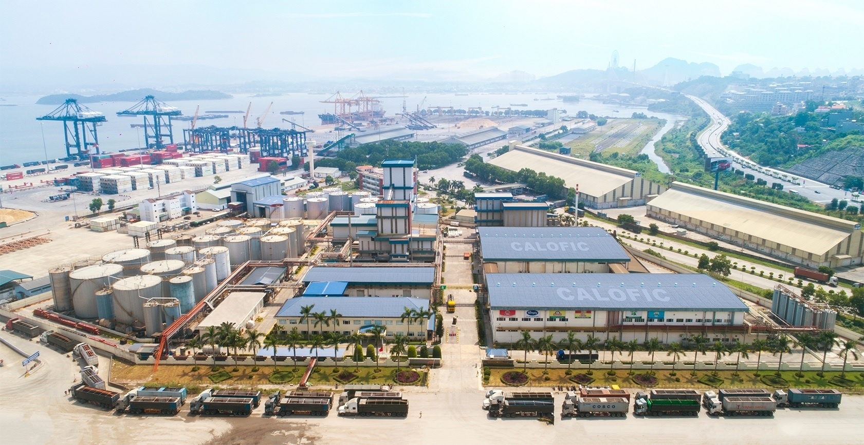 Vocarimex ban het von Dau Cai Lan hinh anh